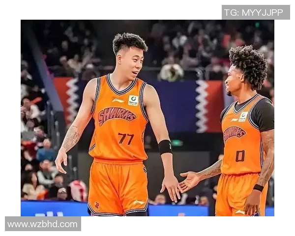 邦比与奥丹斯的巅峰对决谁能笑到最后揭开胜负之谜